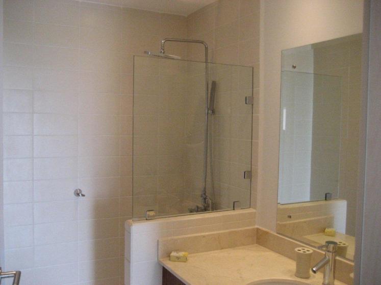 Guest Bathroom with Shower