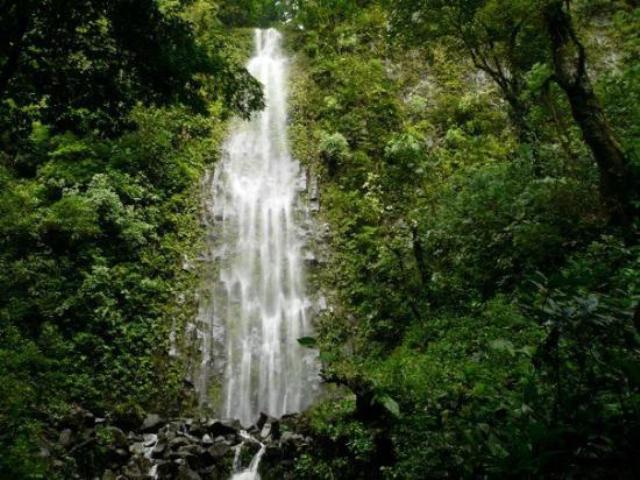 Local Waterfalls